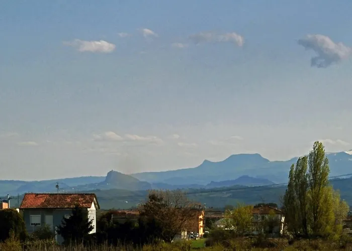 Del Veig
